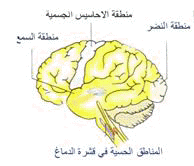 CNS%20%283%29.gif