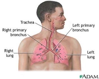   Wegeners granulomatosis 